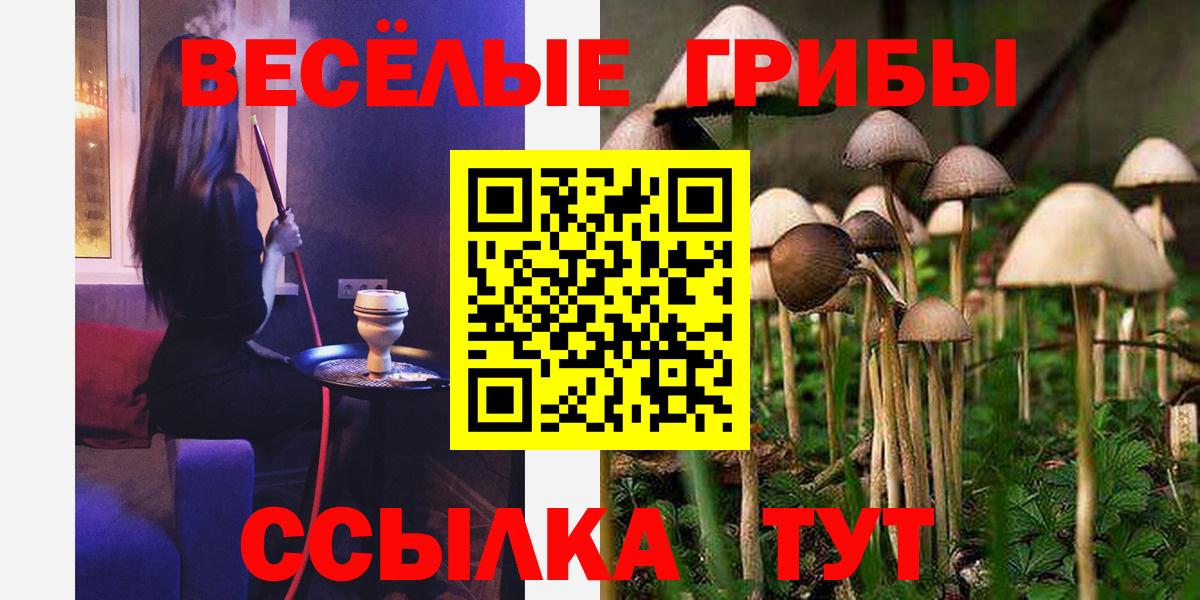Галлюциногенные грибы MAGIC MUSHROOMS  Галлюциногенные грибы Psilocybe  Вход с VPN  Ухта 
