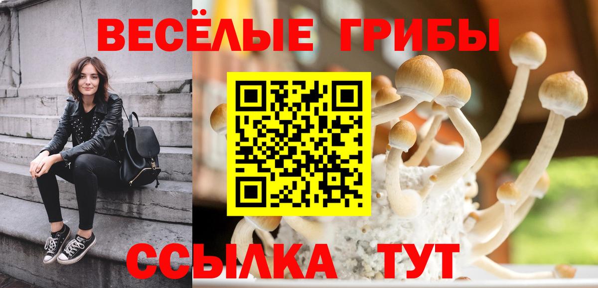 Псилоцибиновые грибы GOLDEN TEACHER Ухта